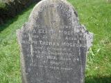 image of grave number 244415